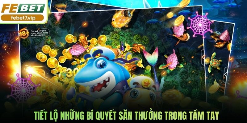 Tiết lộ những bí quyết săn thưởng trong tầm tay