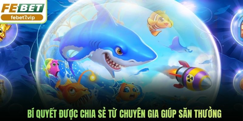 Bí quyết được chia sẻ từ chuyên gia giúp săn thưởng