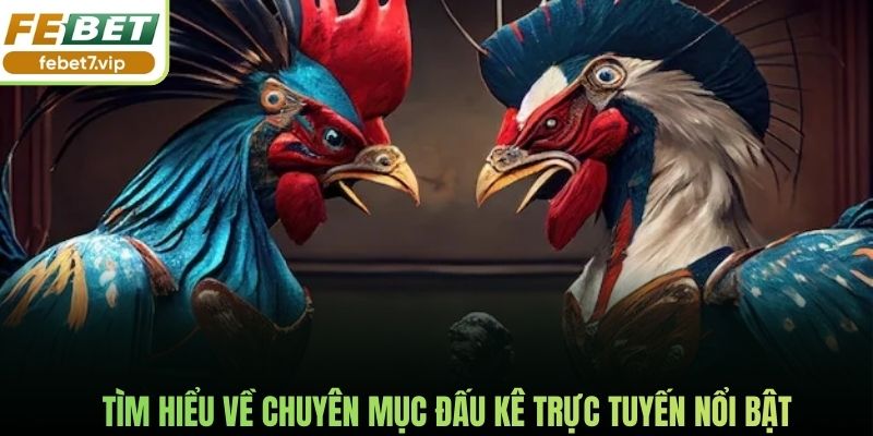 Tìm hiểu về chuyên mục đấu kê trực tuyến nổi bật