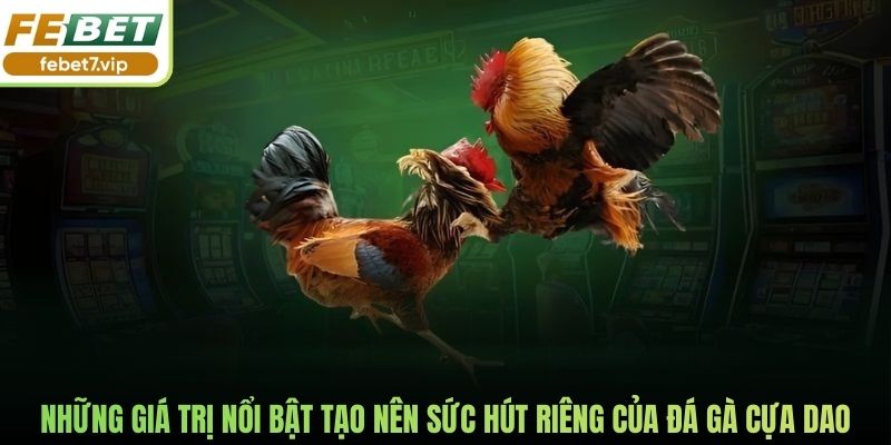 Những giá trị nổi bật tạo nên sức hút riêng của đá gà cựa dao
