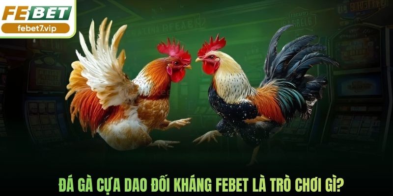 Đá gà cựa dao đối kháng Febet là trò chơi gì?