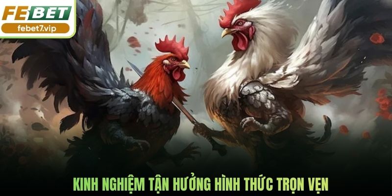 Kinh nghiệm tận hưởng hình thức trọn vẹn
