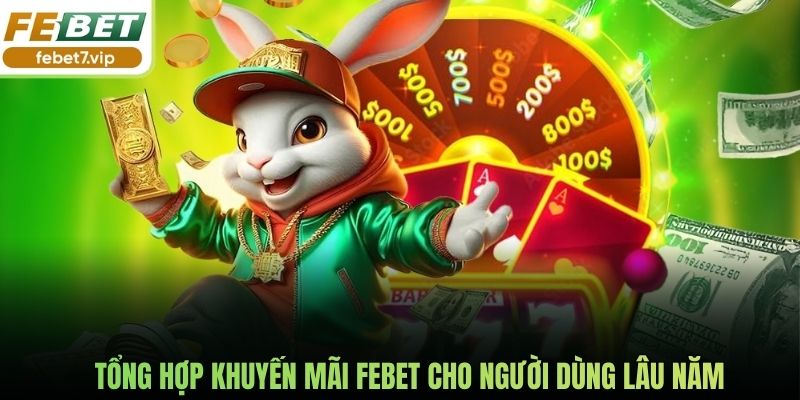 Tổng hợp khuyến mãi Febet cho người dùng lâu năm