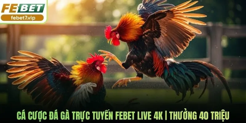 Cá cược đá gà trực tuyến
