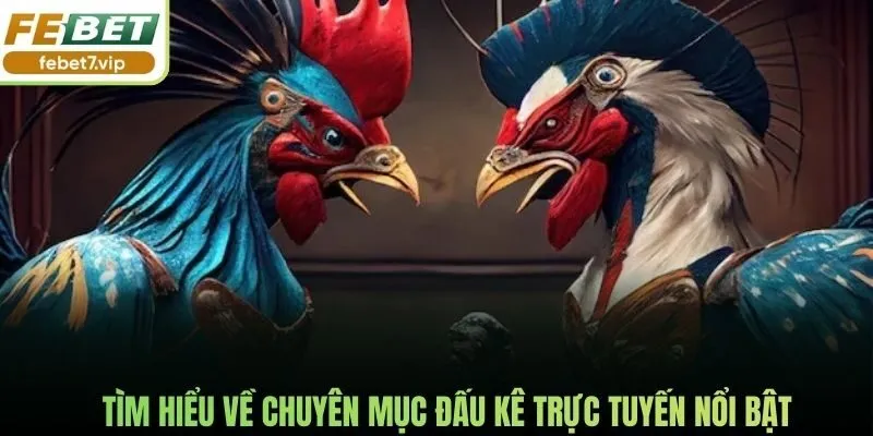 Tìm hiểu về chuyên mục đấu kê trực tuyến nổi bật