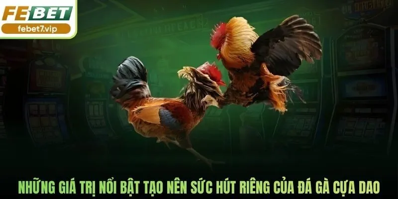 Những giá trị nổi bật tạo nên sức hút riêng của đá gà cựa dao