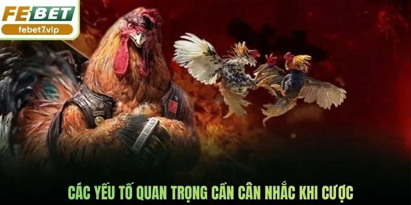 Các yếu tố quan trọng cần cân nhắc khi cược